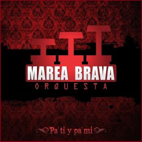 Download track Mi Salsa Marea Brava Orquesta