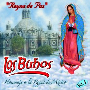 Download track Dios Te Salve Maria Los Buhos