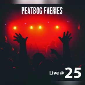 Download track Strictly Sambuca (Live) Peatbog Faeries