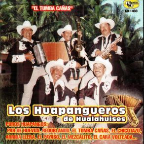 Download track El Chicotazo Nuevo Leon