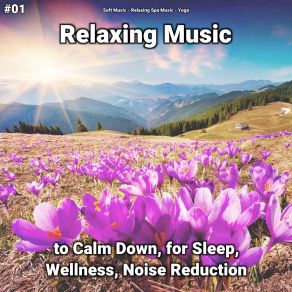 Download track Curing Calming Music Yoga