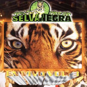 Download track Cumbia De Los Pajaritos Selva Negra