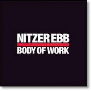 Download track Let Your Body Learn Nitzer Ebb