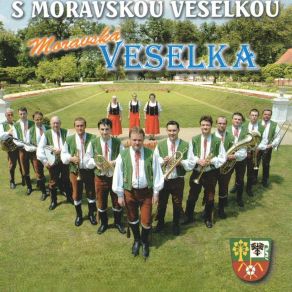 Download track Našel Jsem Pramínek Moravská Veselka