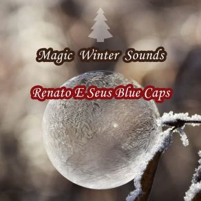 Download track Comanche Renato E Seus Blue Caps