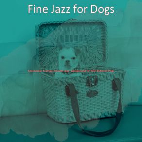 Download track Marvellous Ambience For Morning Dog Walks Fine Jazz For Dogs