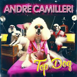 Download track Poverty Line Andre Camilleri