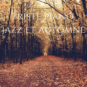 Download track Musique De Jazz De Sommeil Jazz Douce Musique D'ambiance