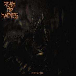 Download track Watchers Of The Infinite Abyss Realm Of Madness