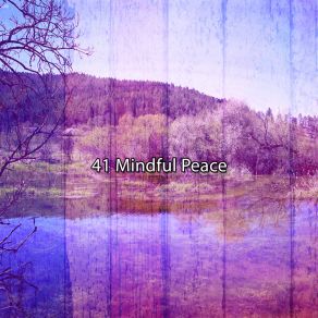 Download track Galaxy Of The Mindful Pro Sounds Effects Library