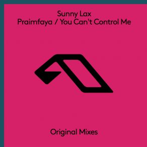 Download track You Can't Control Me (Extended Mix) Sunny Lax