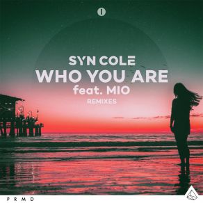 Download track Who You Are (Billon Remix) Syn ColeMio