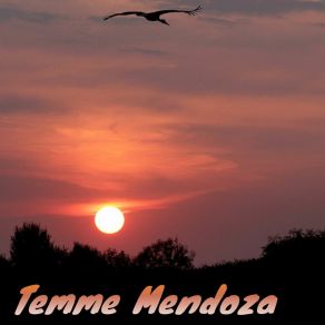 Download track Right Canary Temme Mendoza