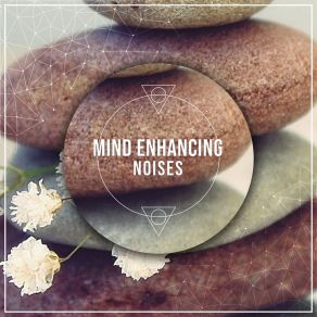 Download track Healing Sounds Meditation AwarenessWhite Noise Babies