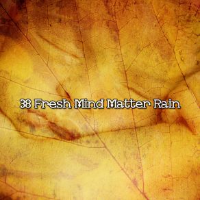 Download track Rain Regrowth Rain For Deep Sleep