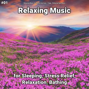 Download track Wonderful Ambient Sounds For Spa Relaxing Spa Music