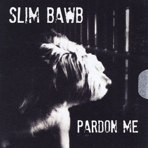 Download track Foot On The Gas Slim Bawb