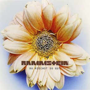 Download track Du Riechst So Gut (Single Version) Rammstein