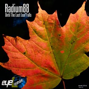 Download track The Meaning Of Dreams Radium88