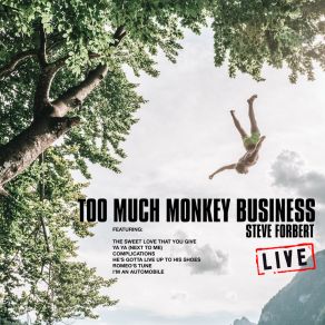 Download track Too Much Monkey Business (Live) Steve Forbert