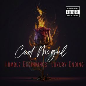 Download track Buy You Everything Ced Mogul