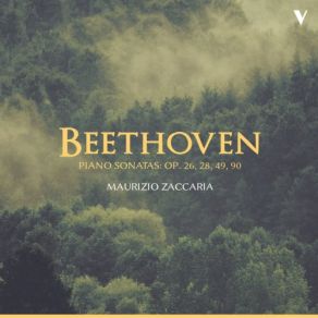 Download track Piano Sonata No. 15 In D Major, Op. 28 Pastoral III. Scherzo. Allegro Vivace Maurizio Zaccaria