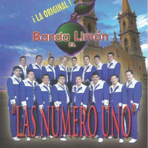 Download track Me Caiste Del Cielo Banda El Limon