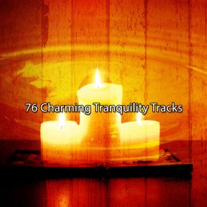 Download track Cleansing Toxicity White Noise Therapy