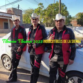 Download track Las Tres Piedritas Indiscutibles De La Sierra