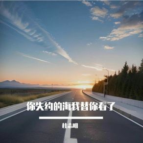 Download track 你失约的海我替你看了 杜志明