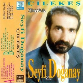 Download track El Ne Karışır Seyfi Doğanay