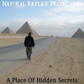 Download track Coming Home - Rejoyce Natural Reflex Projection