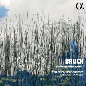 Download track Bruch: String Quintet In E-Flat Major, Op. Posth.: IV. Andante Con Moto - Allegro Ma Non Troppo Vivace WDR Sinfonieorchester Chamber Players