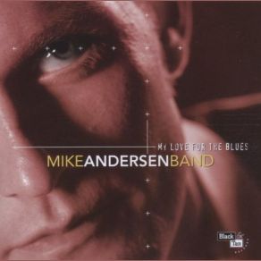 Download track Who Will The Next Fool Be Mike Andersen Band