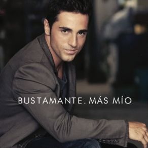 Download track Como Tú Ninguna David Bustamante
