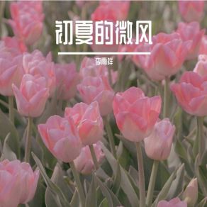 Download track 初夏的微风 李雨祥