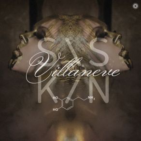 Download track Villaneve Siskin