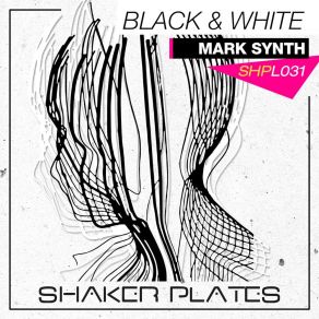 Download track Black & White (Wild & Verwegen Remix) Mark SynthThe Wild