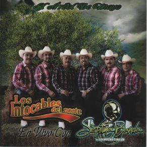 Download track Porte Inigualable (En Vivo) (La Septima Banda) Los Intocables Del NorteLa Septima Banda