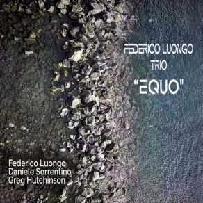 Download track Straight Up And Down Federico Luongo