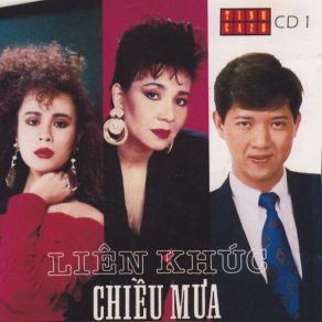 Download track Lien Khuc Mua Dem Doc Hanh, Kiep Cam Ca, Tinh Khuc Chieu Mua, Tuoi Da Buon Luu Hong