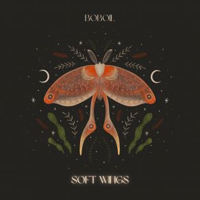 Download track Soft Wings Boboil