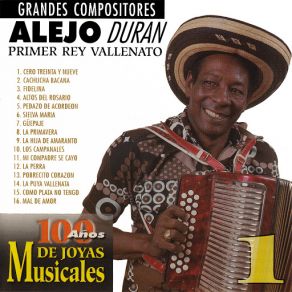 Download track La Puya Vallenata Su Conjunto, Alejandro Durán