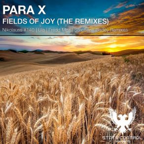 Download track Fields Of Joy (Ula Remix) Para X