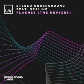 Download track Flashes (D-Nox & Beckers Remix) Beckers, D - Nox, Gai Barone, Navar, SeaLine, Stereo Underground