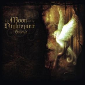 Download track Alkonyvarazs The Moon And The Nightspirit