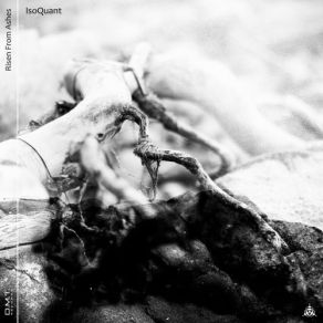 Download track Mr Fog IsoQuant