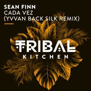 Download track Cada Vez (Yvvan Back Silk Extended Remix) Sean FinnYvvan Back