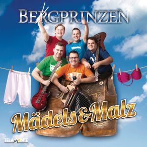 Download track Mei Liad Für Dei Herz Bergprinzen