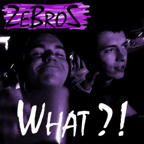 Download track Buffalos Zebros